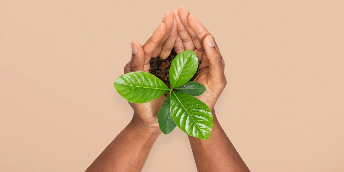 Why Vegan Bar Soap is the Best Choice for Your Skin and the Planet