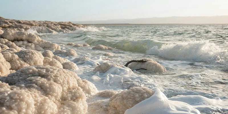 The Miraculous Benefits of Dead Sea Salt Bar Soap