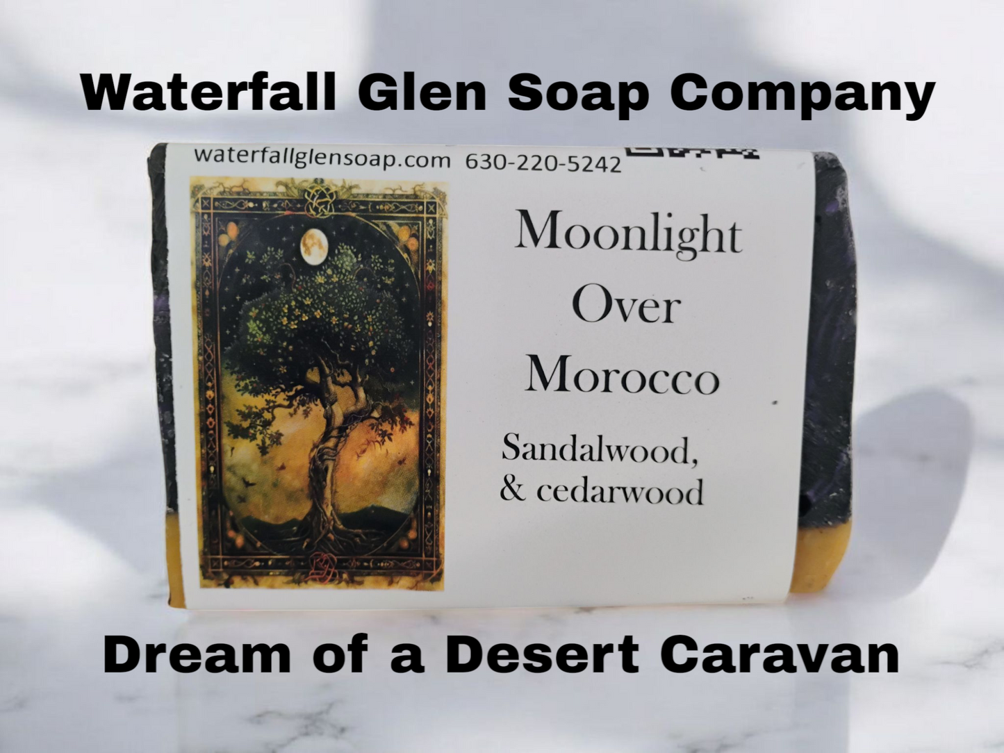 Moonlight Over Morocco