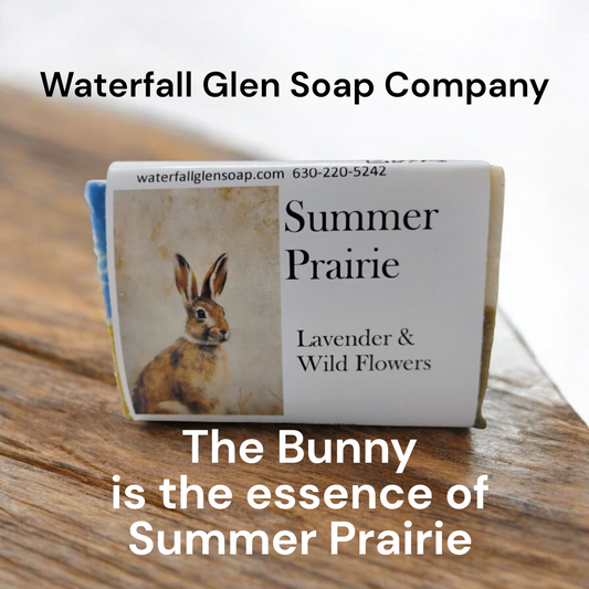 Summer Prairie