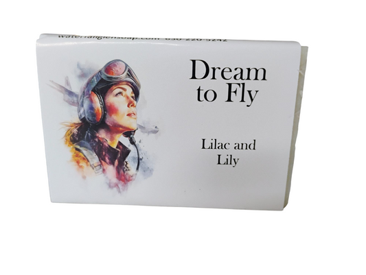Dream to Fly