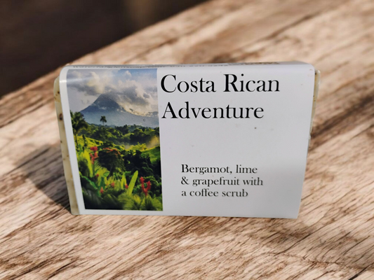 Costa Rican Adventure