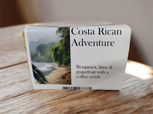 Costa Rican Adventure