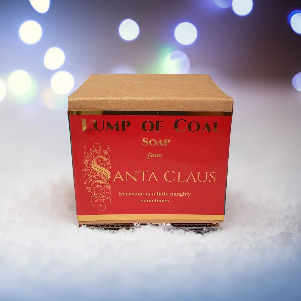 Lump of Coal cardboard packing box with a red label with gold reflective lettering sitting on top of a pile of snow with a background of blurred Christmas lights.